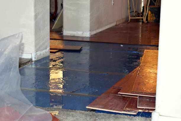 Professional Burst Pipe Cleanup technician working in Atlantic, NC